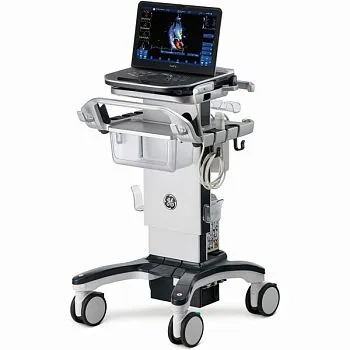 Ультразвуковая диагностическая система GE HealthCare Vivid iQ портативная