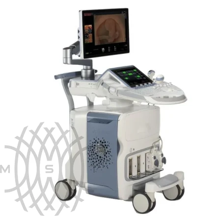 Ультразвуковая диагностическая система GE Voluson E10